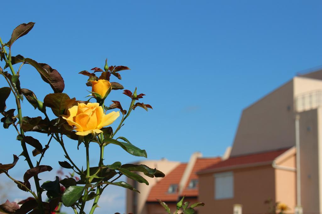 Hotel Hera Sozopol Exterior photo